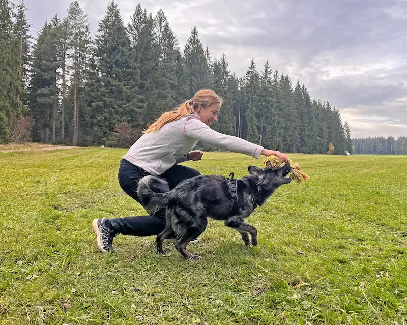 Fragen und Antworten 2