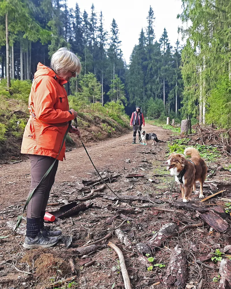 FAQ Krimiwanderungen