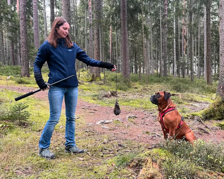 Gruppenkurs Antijagdtraining
