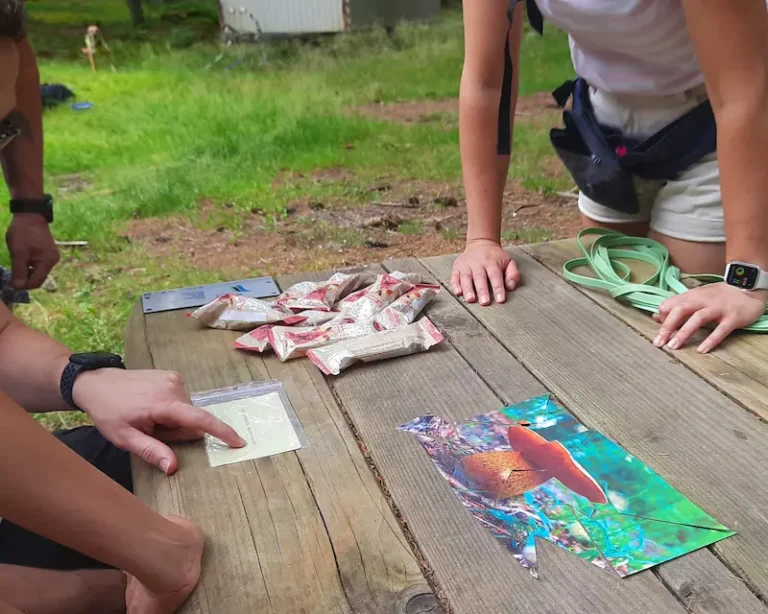 Krimiwanderung_Titelbild2