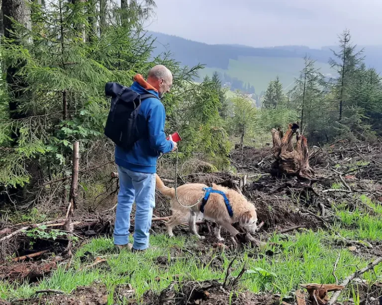 Krimiwanderung_Titelbild3