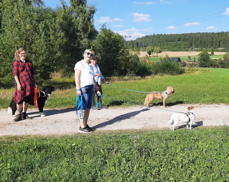 Social_Walk_Titelbild1