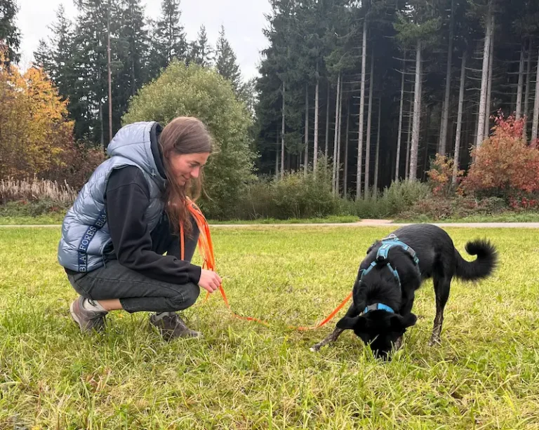 Krimiwanderung Schnüffeln